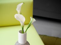 White ceramic vase 4 mm