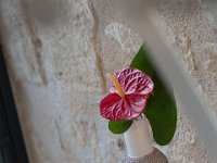 White ceramic vase 7 mm